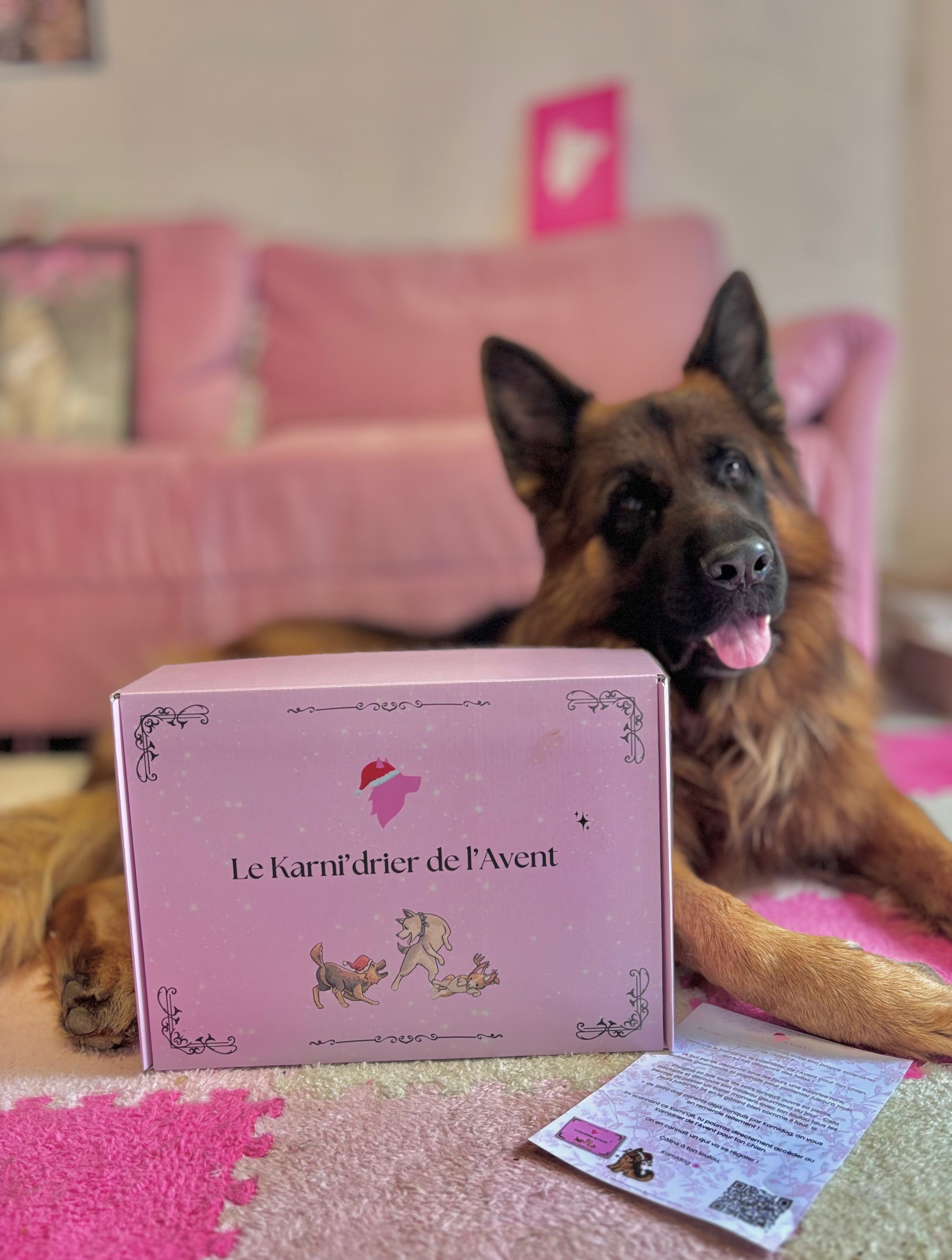 Le Karni'drier de l'Avent