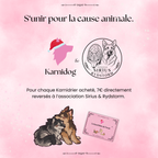 Le Karni'drier de l'Avent